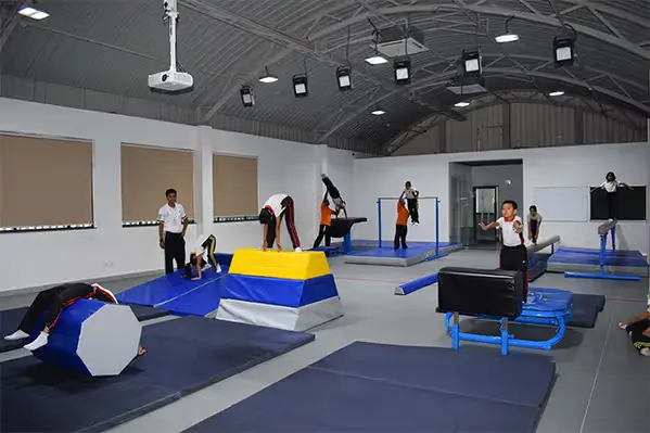 Gymnastics